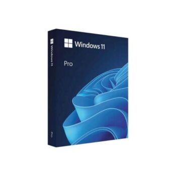 Microsoft Windows 11 Professional FPP - Microsoft