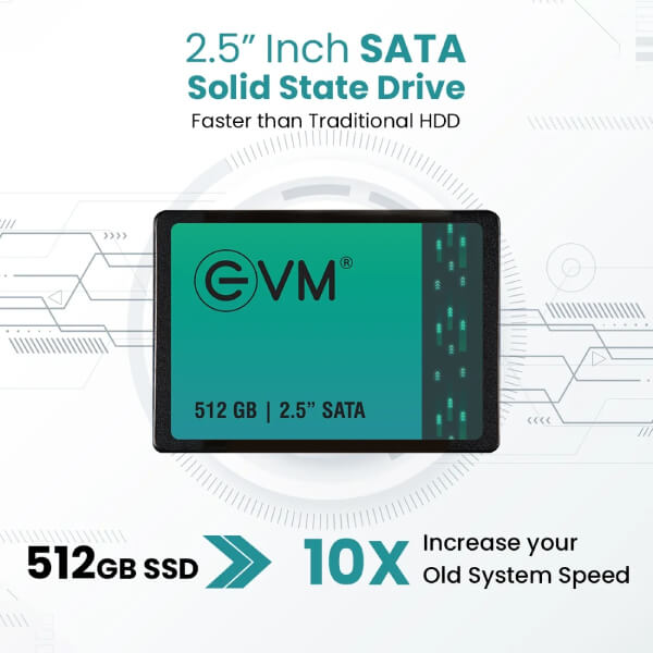 EVM 512GB Sata SSD EVM