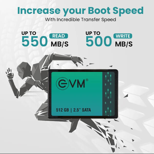 EVM 512GB Sata SSD EVM