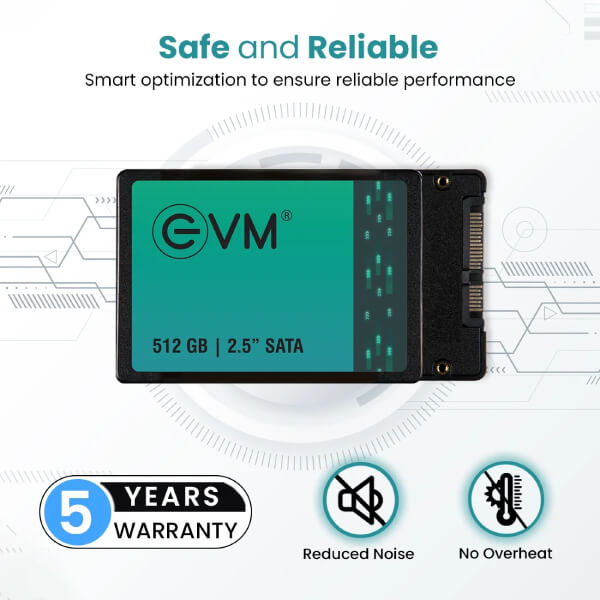 EVM 512GB Sata SSD EVM