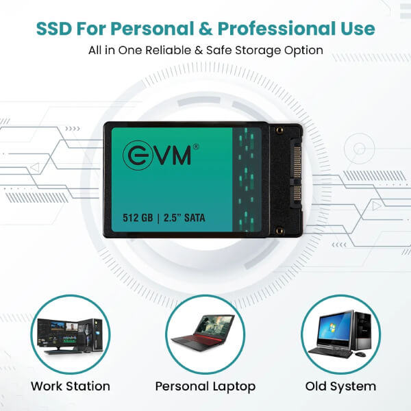 EVM 512GB Sata SSD EVM