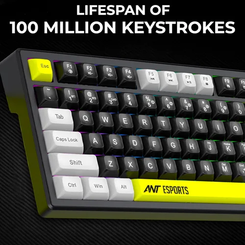 Ant Esports APEX 200 Wireless Tri Mode RGB Mechanical Gaming Keyboard ANT ESPORTS