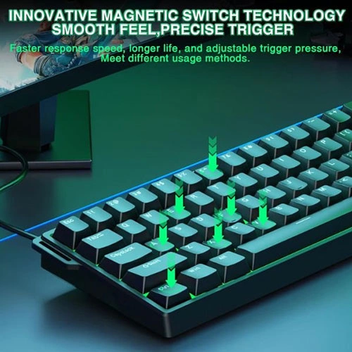 Aula Win60 He 60 Percent Mechanical Gaming Keyboard With Black Graywood Magnetic Switch AULA