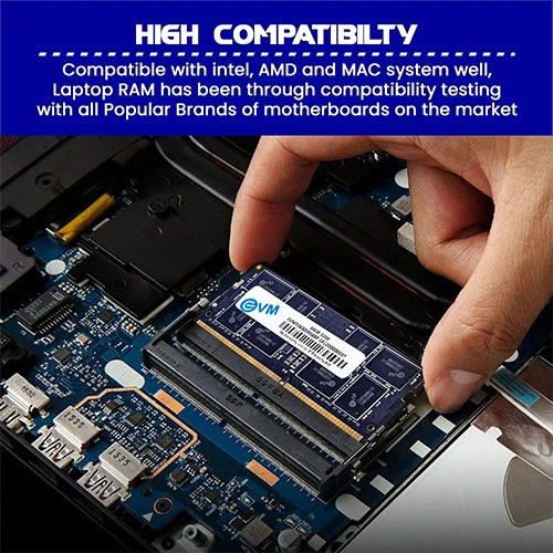 EVM 16GB 3200MHz CL19 DDR4 Laptop RAM EVM