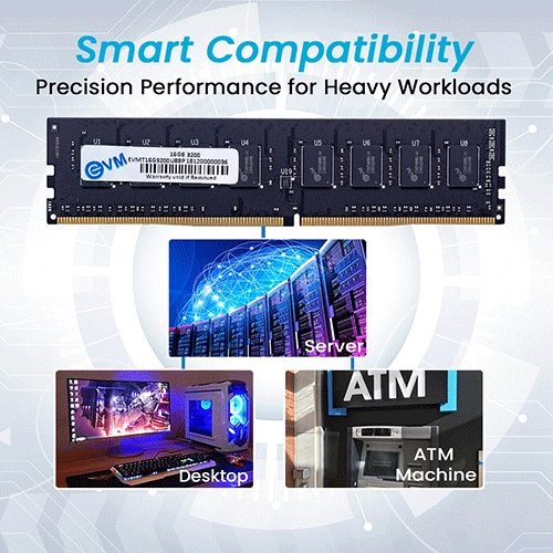 EVM 16GB 3200MHz DDR4 RAM EVM