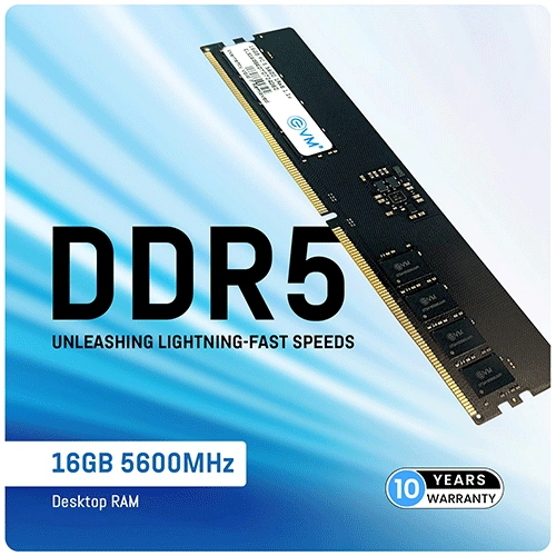 EVM 16GB 5600Mhz DDR5 RAM EVM