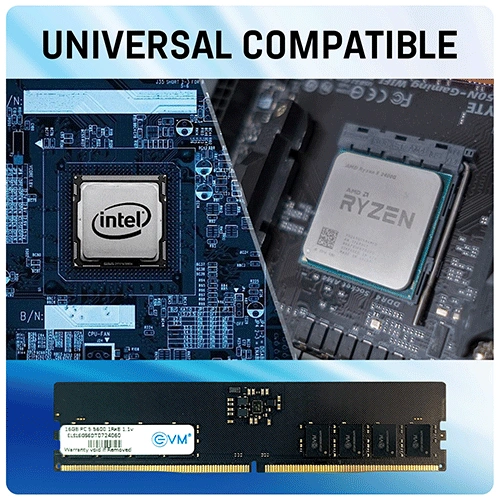 EVM 16GB 5600Mhz DDR5 RAM EVM