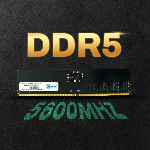 EVM 8GB 5600MHz DDR5 RAM EVM