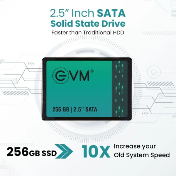 EVM 256GB Sata SSD EVM