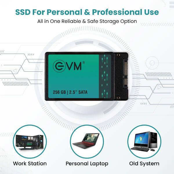 EVM 256GB Sata SSD EVM