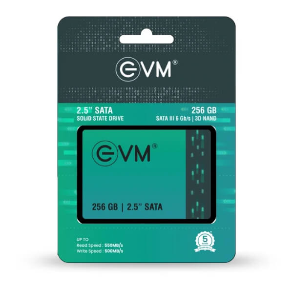 EVM 256GB Sata SSD EVM