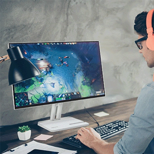 Lenovo L24-4C 24 Inch Monitor LENOVO
