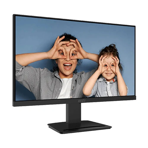 MSI Pro MP253 25 Inch Business Monitor MSI