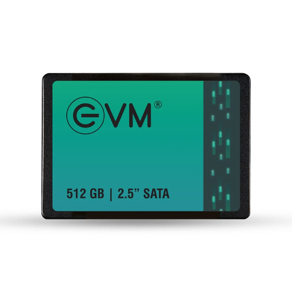 EVM 512GB Sata SSD